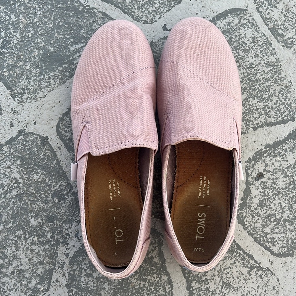 TOMS - Picture 6 of 6